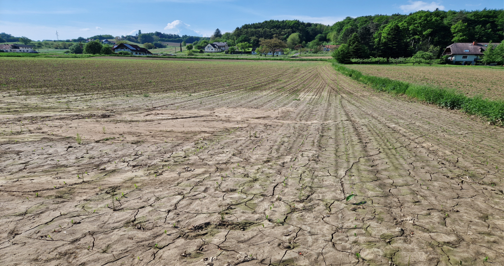 Verschlämmte und verkrustete Böden mit Branntkalk sanieren Bodenkalk